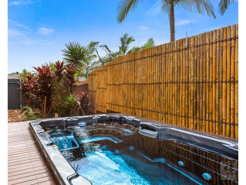 63 Old Lismore Road, Murwillumbah NSW 2484