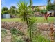 63 Old Lismore Road, Murwillumbah NSW 2484