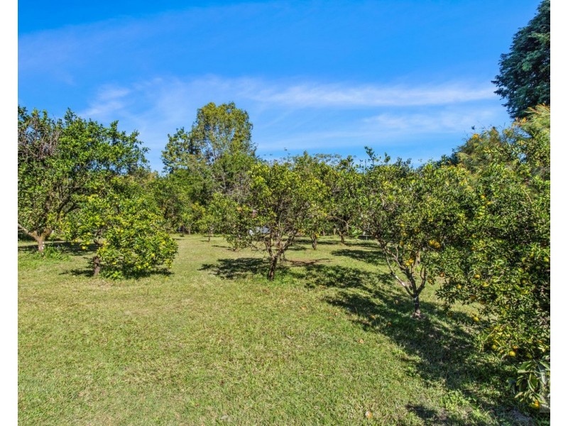 527 Commissioners Creek Road, Commissioners Creek NSW 2484