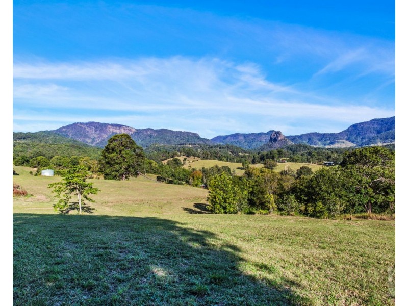 527 Commissioners Creek Road, Commissioners Creek NSW 2484