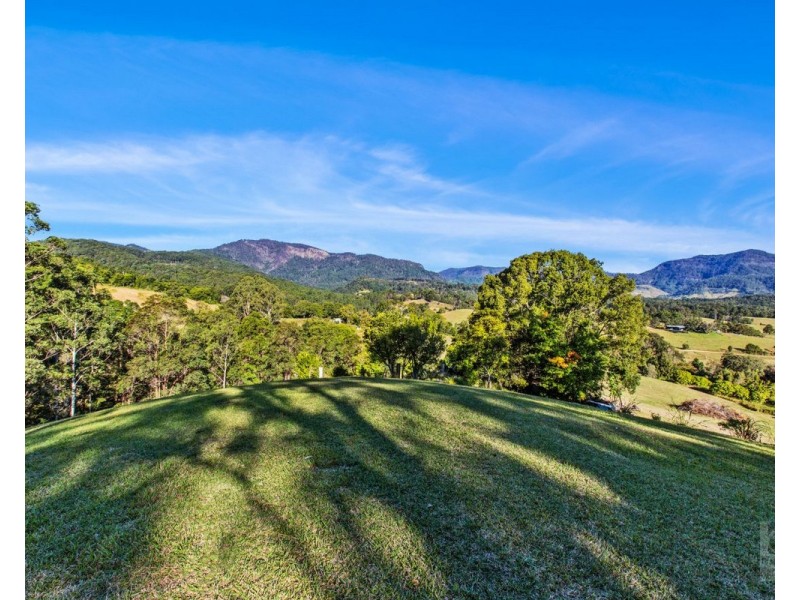 527 Commissioners Creek Road, Commissioners Creek NSW 2484