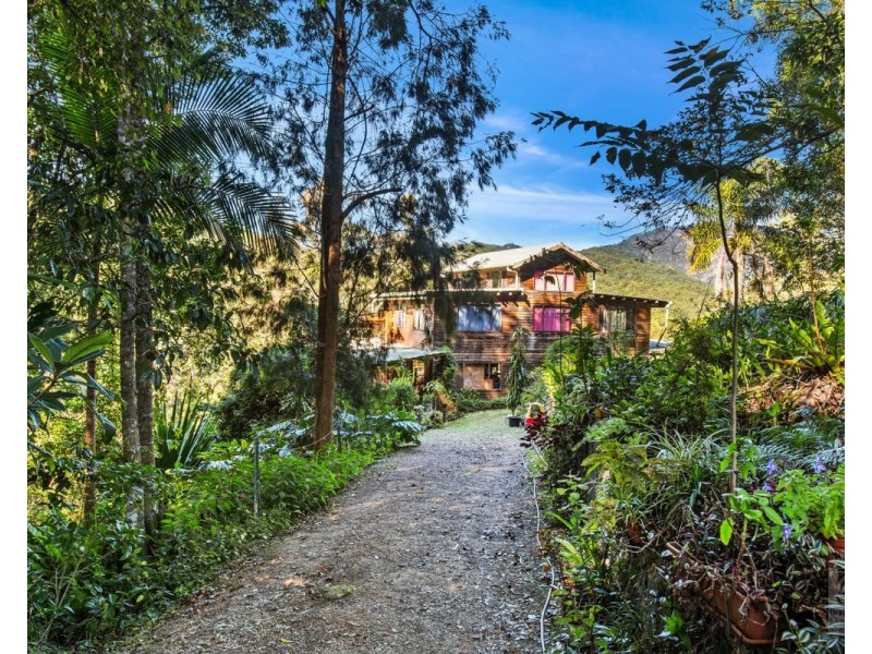 527 Commissioners Creek Road, Commissioners Creek NSW 2484