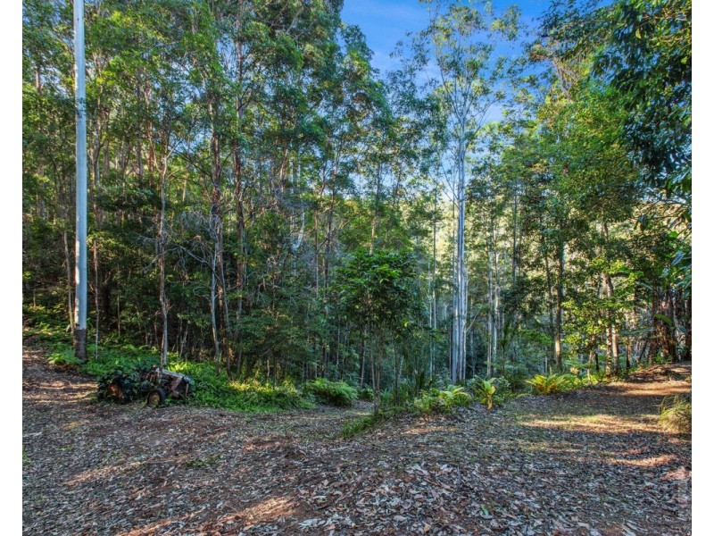 527 Commissioners Creek Road, Commissioners Creek NSW 2484