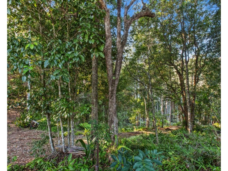 527 Commissioners Creek Road, Commissioners Creek NSW 2484