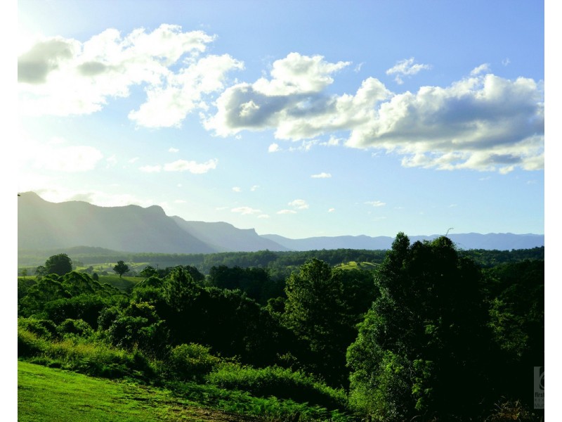 Mount Burrell NSW 2484