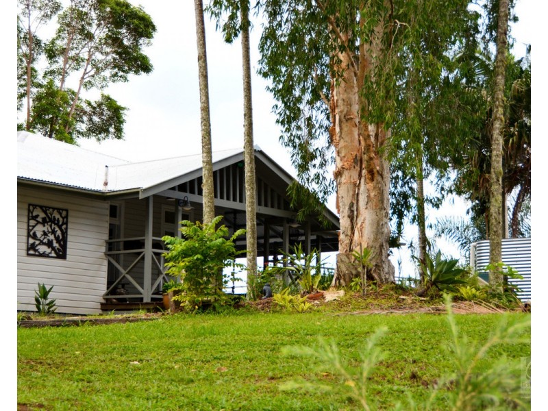 Mount Burrell NSW 2484