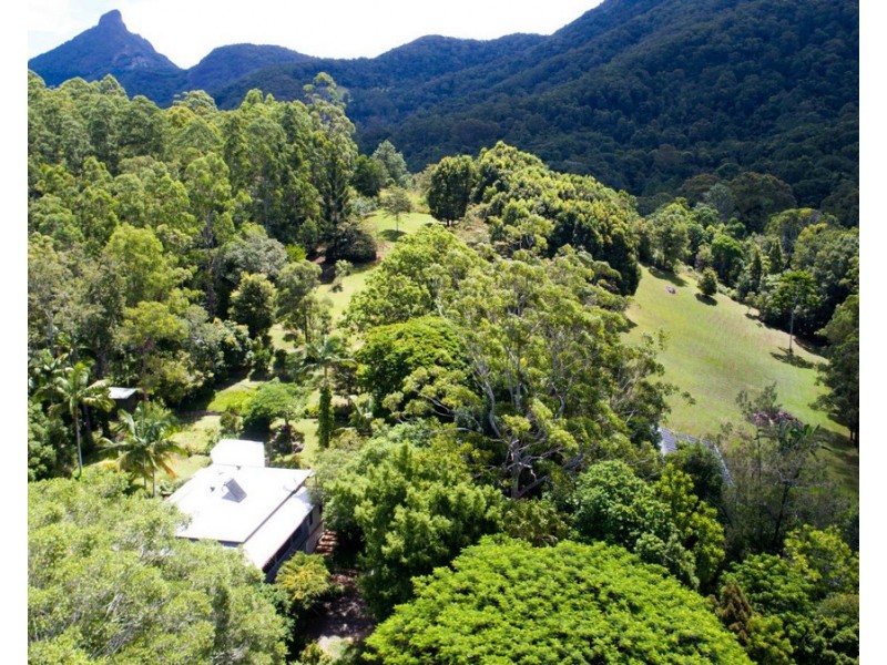 73 Mount Warning Road, Mount Warning NSW 2484