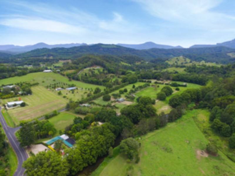 1004 Numinbah Road, Crystal Creek NSW 2484