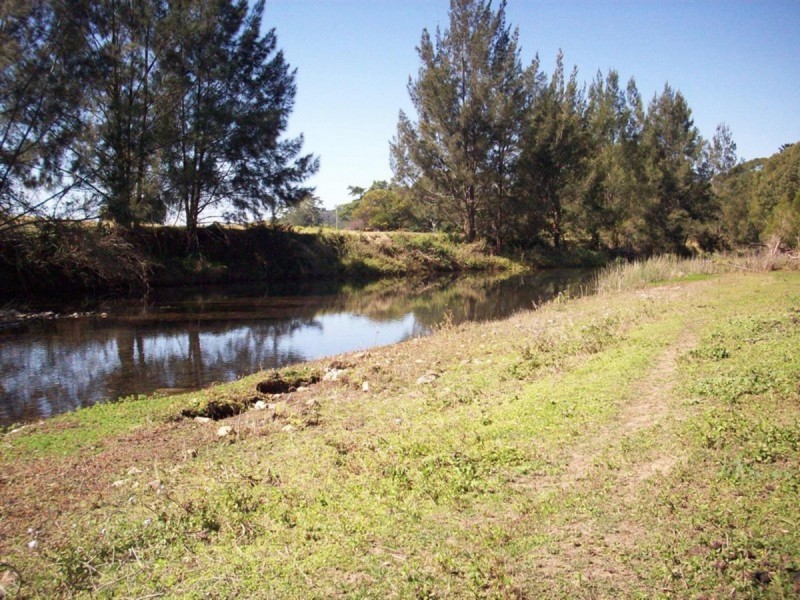 1004 Numinbah Road, Crystal Creek NSW 2484