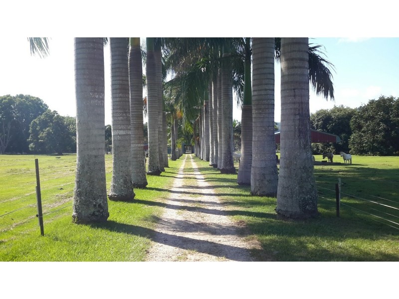 1004 Numinbah Road, Crystal Creek NSW 2484