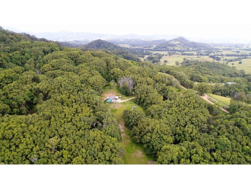 222 Tyalgum Road, Eungella NSW 2484