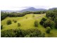 222 Tyalgum Road, Eungella NSW 2484