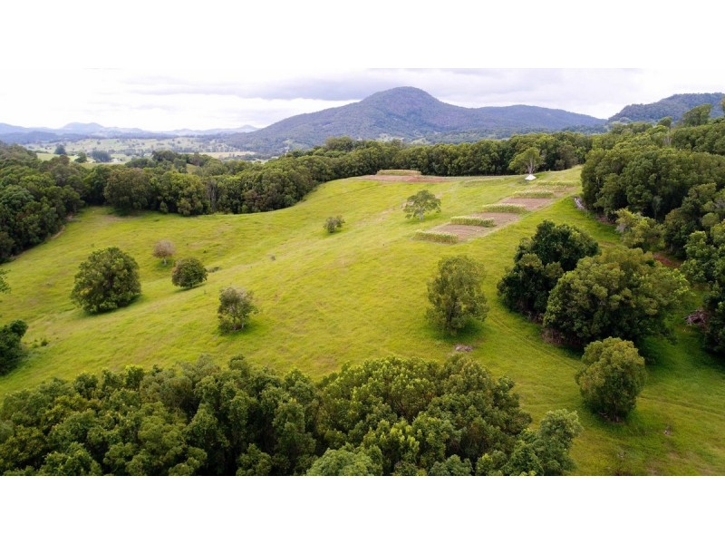 222 Tyalgum Road, Eungella NSW 2484