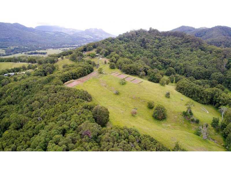 222 Tyalgum Road, Eungella NSW 2484