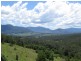 222 Tyalgum Road, Eungella NSW 2484