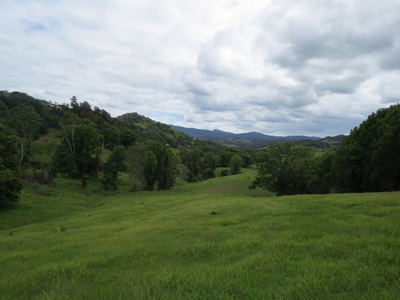 222 Tyalgum Road, Eungella NSW 2484
