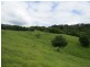 222 Tyalgum Road, Eungella NSW 2484