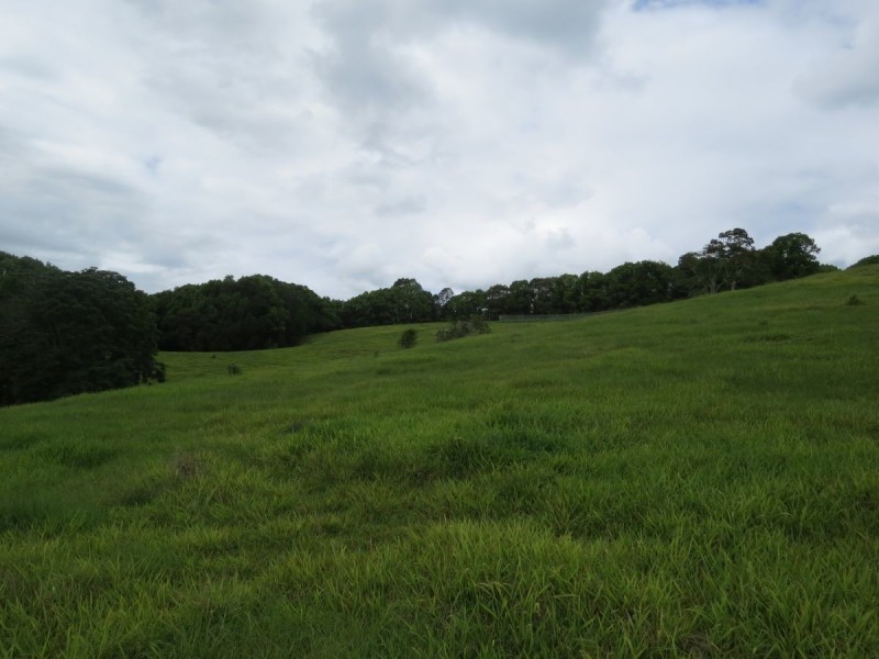 222 Tyalgum Road, Eungella NSW 2484