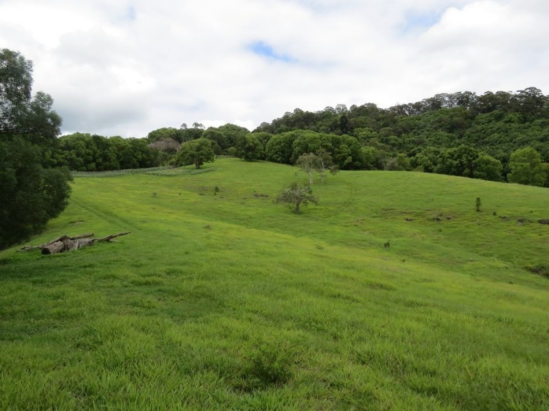 222 Tyalgum Road, Eungella NSW 2484
