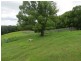 222 Tyalgum Road, Eungella NSW 2484