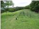 222 Tyalgum Road, Eungella NSW 2484