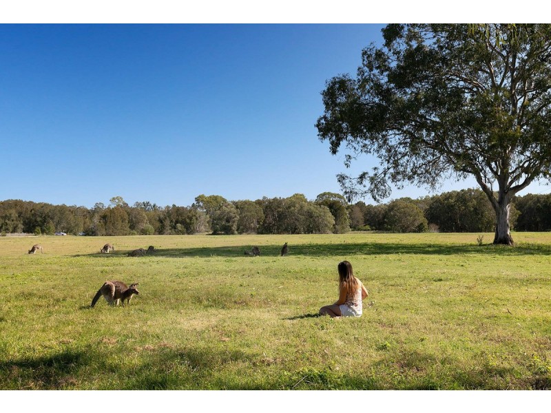 7/22 Yulia Street, Coombabah QLD 4216