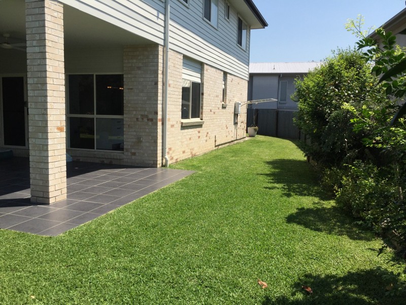 1 Tristania Road, Kenmore QLD 4069