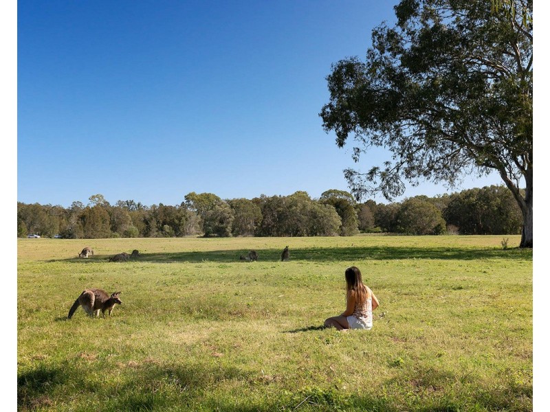 16/22 Yulia Street, Coombabah QLD 4216