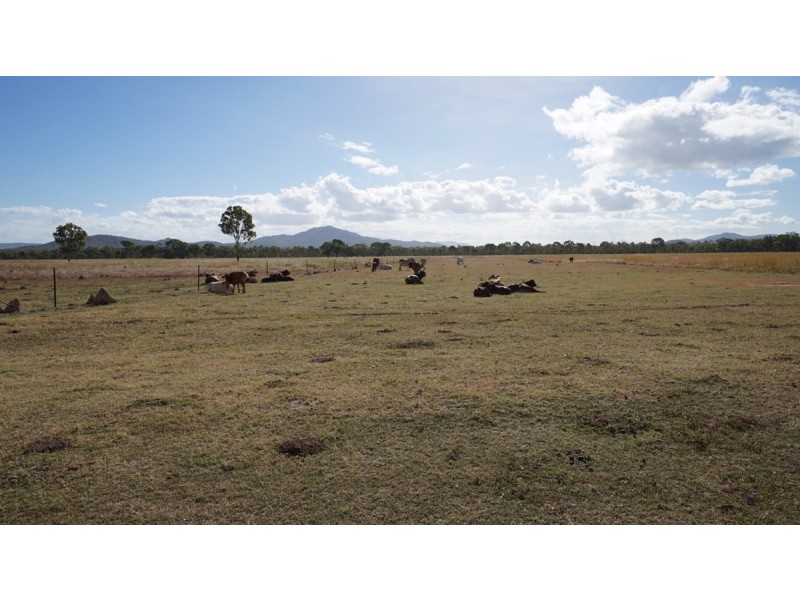 6068 Mulligan Highway, Mount Carbine QLD 4871