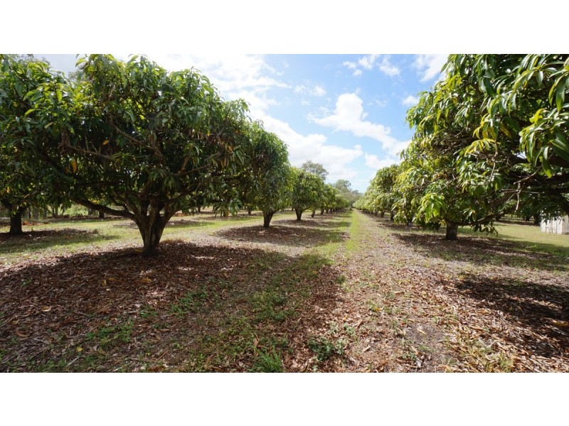 460 Springs Road, Mareeba QLD 4880