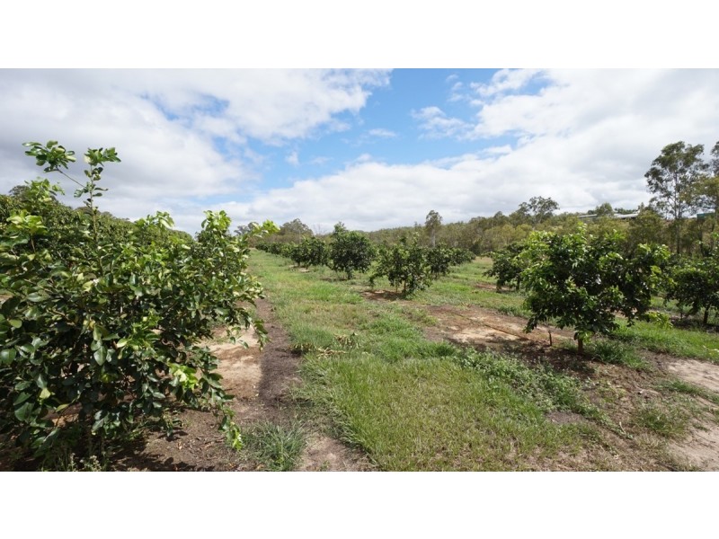 460 Springs Road, Mareeba QLD 4880