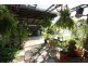 49 Walsh Street, Mareeba QLD 4880