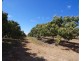 8 Kippen Drive, Mareeba QLD 4880