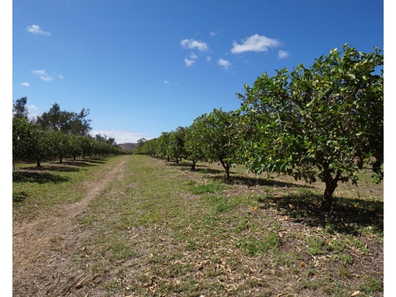 8 Kippen Drive, Mareeba QLD 4880