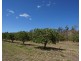 8 Kippen Drive, Mareeba QLD 4880