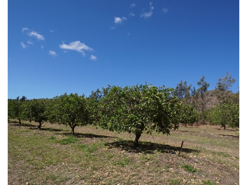 8 Kippen Drive, Mareeba QLD 4880