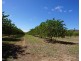 8 Kippen Drive, Mareeba QLD 4880
