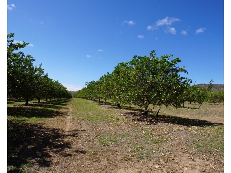 8 Kippen Drive, Mareeba QLD 4880