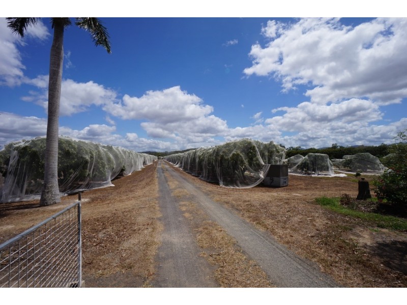 209 Malone Road, Mareeba QLD 4880