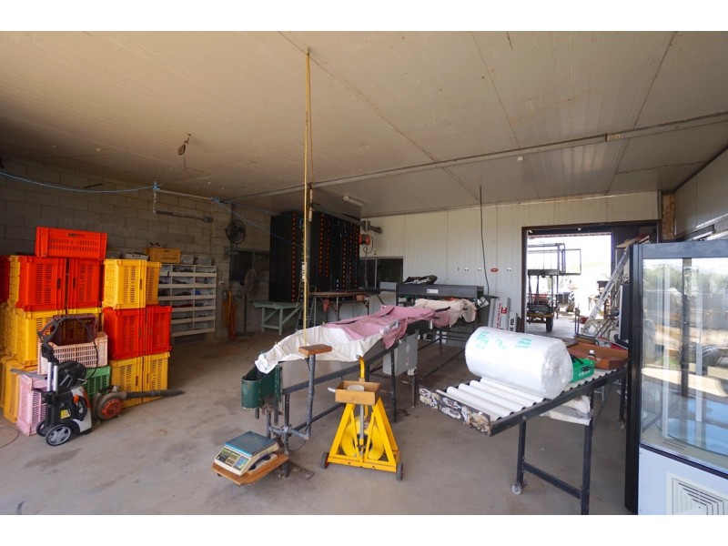 209 Malone Road, Mareeba QLD 4880