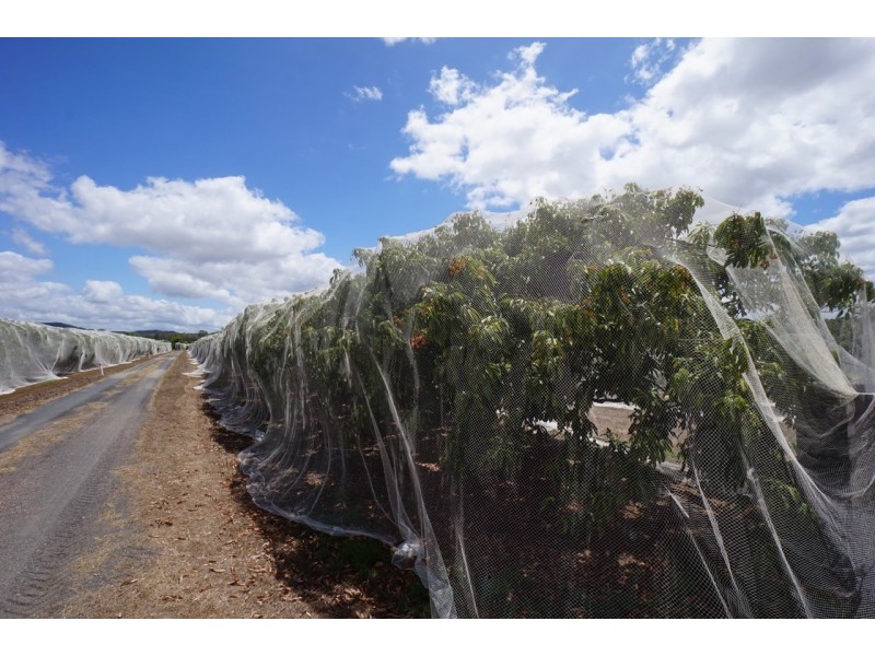 209 Malone Road, Mareeba QLD 4880