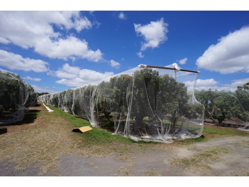 209 Malone Road, Mareeba QLD 4880