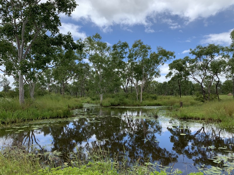 239 Metzger Road, Mutchilba QLD 4872