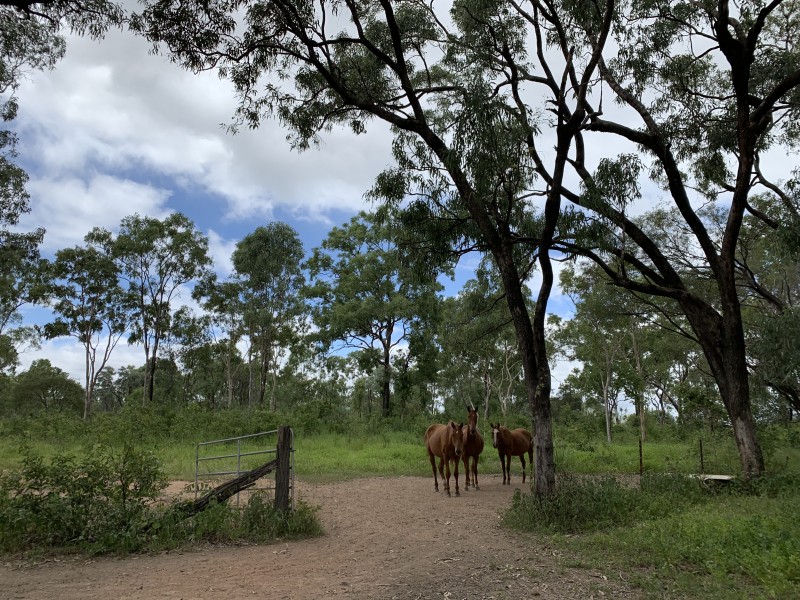 239 Metzger Road, Mutchilba QLD 4872