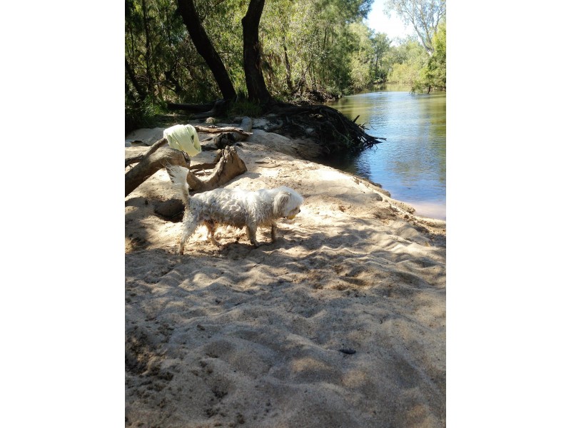 239 Metzger Road, Mutchilba QLD 4872