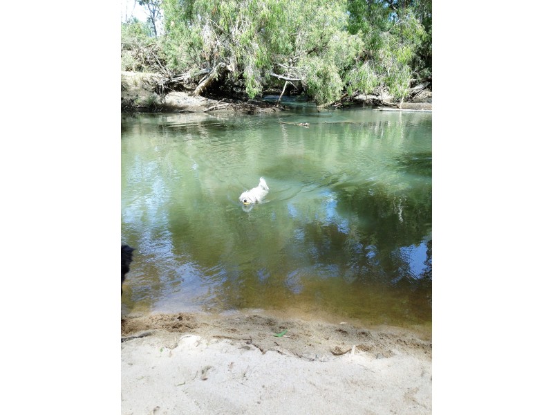 239 Metzger Road, Mutchilba QLD 4872