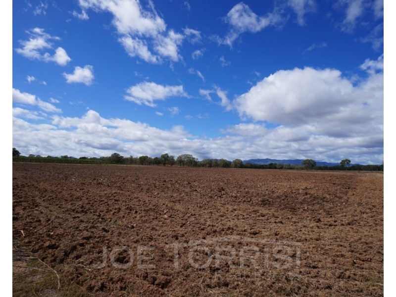 296 Kenneally Road, Mareeba QLD 4880