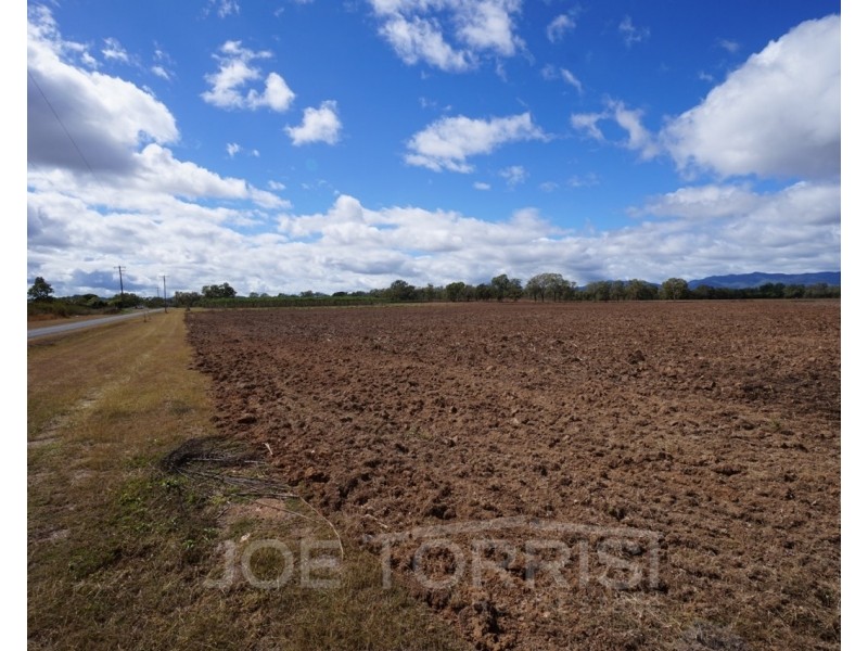 296 Kenneally Road, Mareeba QLD 4880