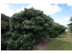 77 Carman Road, Mareeba QLD 4880