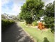 52 Hoolahan Drive, Mareeba QLD 4880